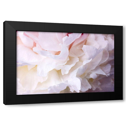 Peony Bliss Black Modern Wood Framed Art Print with Double Matting by Stalus, Judy