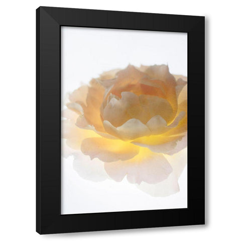 Luminance Black Modern Wood Framed Art Print with Double Matting by Stalus, Judy