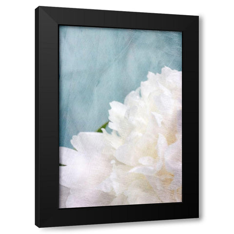 Peony Sky I Black Modern Wood Framed Art Print with Double Matting by Stalus, Judy