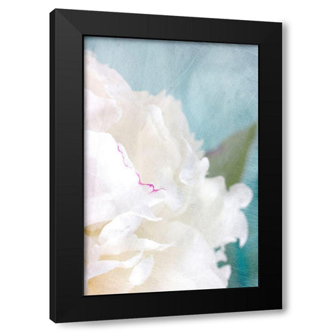 Peony Sky II Black Modern Wood Framed Art Print by Stalus, Judy