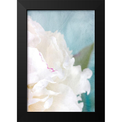 Peony Sky II Black Modern Wood Framed Art Print by Stalus, Judy