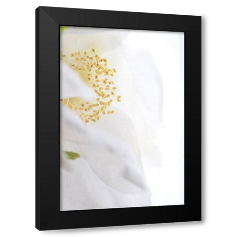 Gold Cup Black Modern Wood Framed Art Print by Stalus, Judy