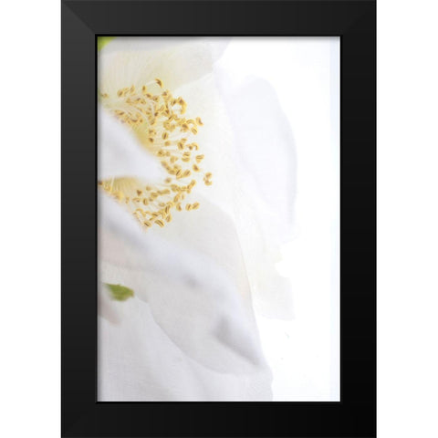 Gold Cup Black Modern Wood Framed Art Print by Stalus, Judy