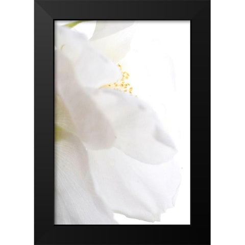 Petals Black Modern Wood Framed Art Print by Stalus, Judy