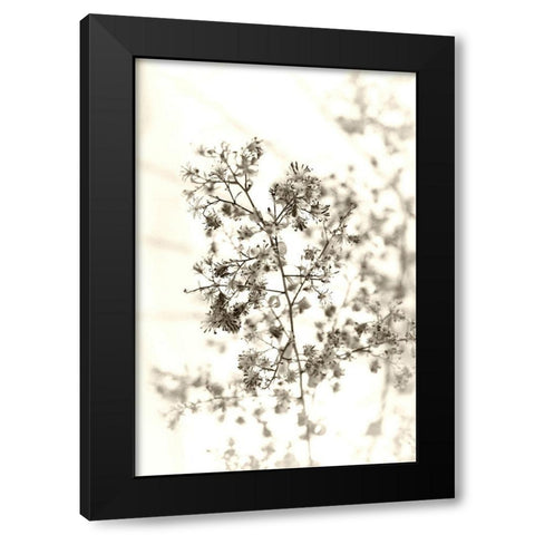 Spent Black Modern Wood Framed Art Print by Stalus, Judy