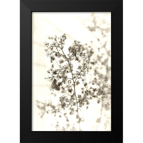 Spent Black Modern Wood Framed Art Print by Stalus, Judy