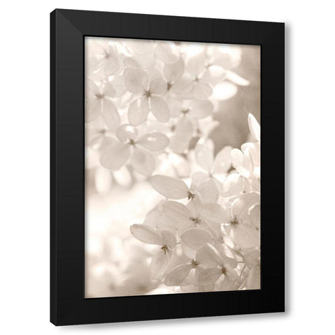 Sunlight Black Modern Wood Framed Art Print by Stalus, Judy