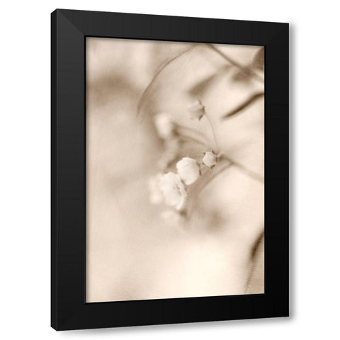 Softly Black Modern Wood Framed Art Print by Stalus, Judy
