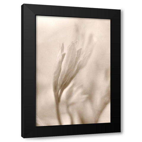 Reaching Black Modern Wood Framed Art Print with Double Matting by Stalus, Judy