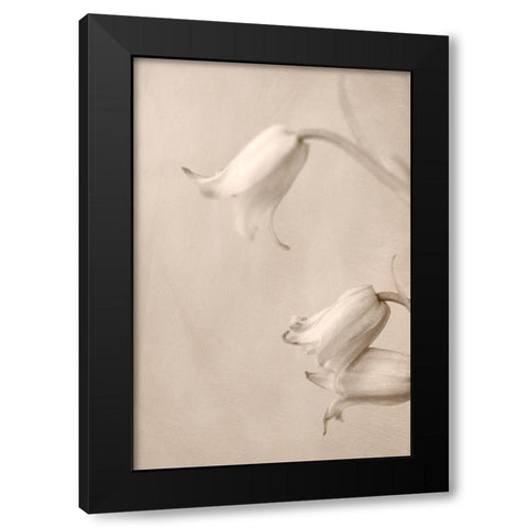 Bells Black Modern Wood Framed Art Print with Double Matting by Stalus, Judy
