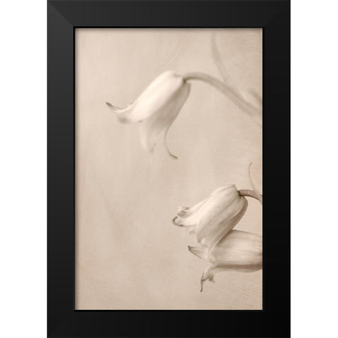 Bells Black Modern Wood Framed Art Print by Stalus, Judy