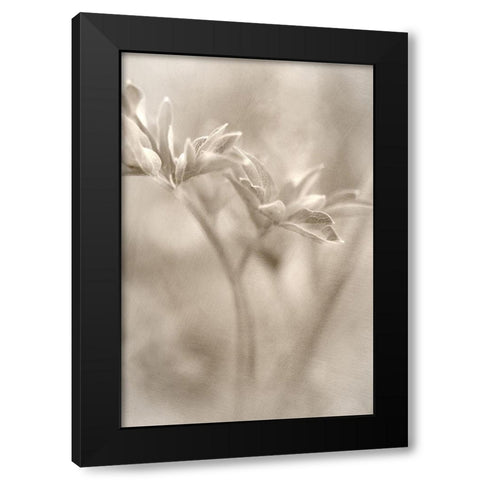 Summer II Black Modern Wood Framed Art Print with Double Matting by Stalus, Judy