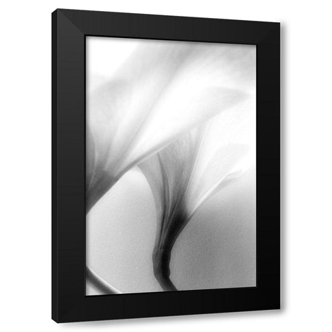 Jeavenly Black Modern Wood Framed Art Print by Stalus, Judy