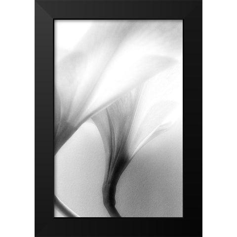 Jeavenly Black Modern Wood Framed Art Print by Stalus, Judy