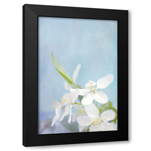 Blue Sky Black Modern Wood Framed Art Print by Stalus, Judy