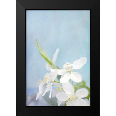 Blue Sky Black Modern Wood Framed Art Print by Stalus, Judy
