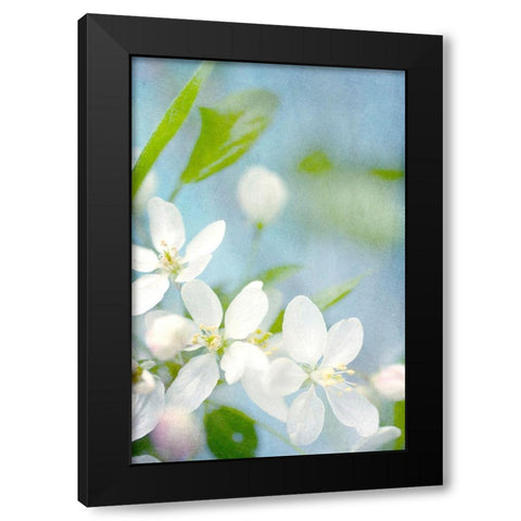 Spring Time Black Modern Wood Framed Art Print by Stalus, Judy