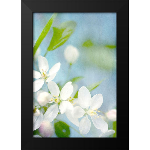 Spring Time Black Modern Wood Framed Art Print by Stalus, Judy
