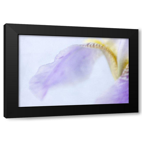 Iris Black Modern Wood Framed Art Print by Stalus, Judy