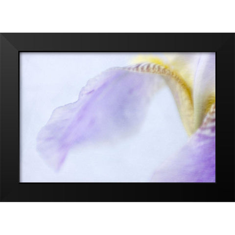 Iris Black Modern Wood Framed Art Print by Stalus, Judy
