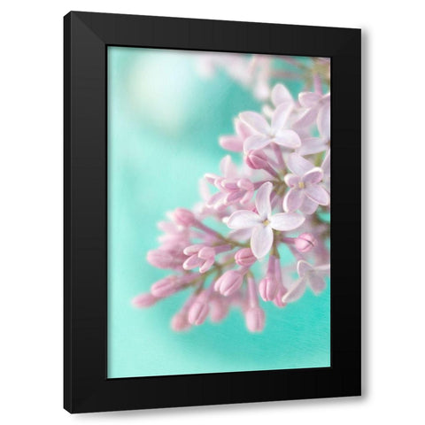 Lilac Black Modern Wood Framed Art Print with Double Matting by Stalus, Judy