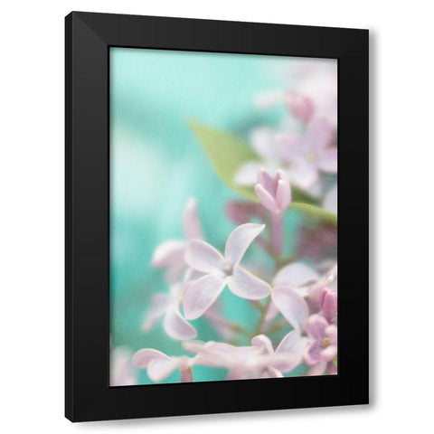 Lilac Flower Black Modern Wood Framed Art Print with Double Matting by Stalus, Judy