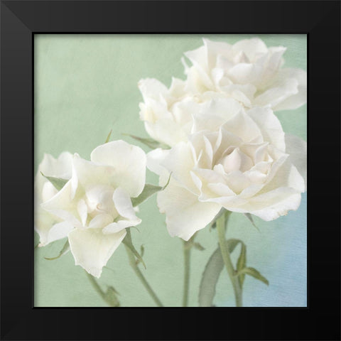 White Rose Black Modern Wood Framed Art Print by Stalus, Judy