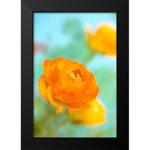 Bright Black Modern Wood Framed Art Print by Stalus, Judy