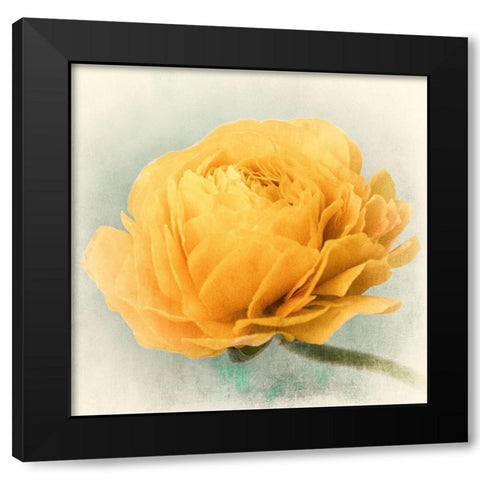 Golden Black Modern Wood Framed Art Print by Stalus, Judy
