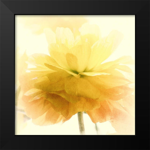 Dancing Black Modern Wood Framed Art Print by Stalus, Judy