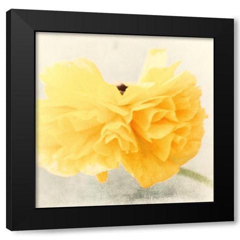 Tutu Black Modern Wood Framed Art Print by Stalus, Judy