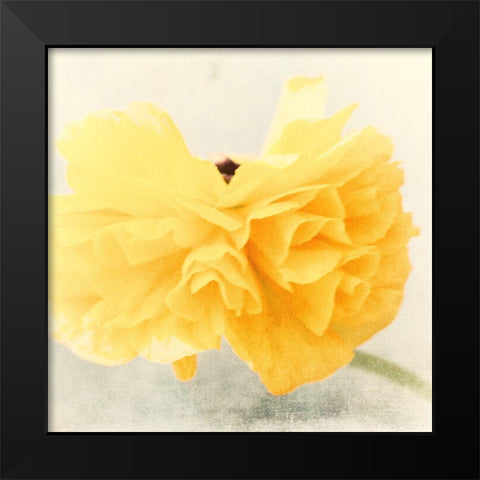 Tutu Black Modern Wood Framed Art Print by Stalus, Judy