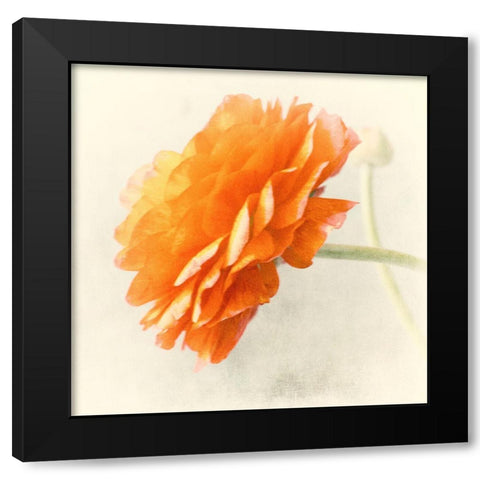 Orange Black Modern Wood Framed Art Print by Stalus, Judy