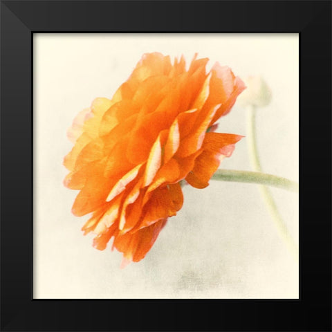 Orange Black Modern Wood Framed Art Print by Stalus, Judy