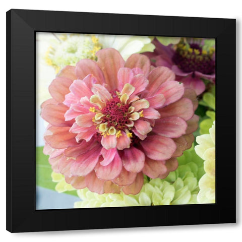 Pink Lasy Black Modern Wood Framed Art Print with Double Matting by Stalus, Judy