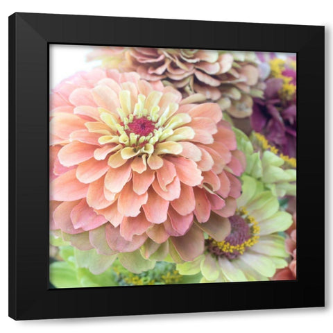 Elegant Black Modern Wood Framed Art Print with Double Matting by Stalus, Judy