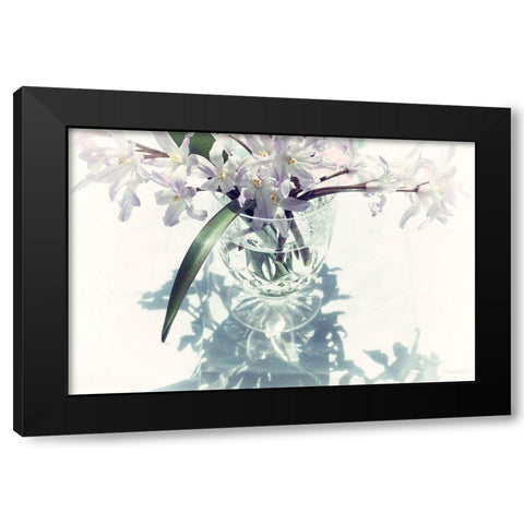 Shadow Black Modern Wood Framed Art Print with Double Matting by Stalus, Judy