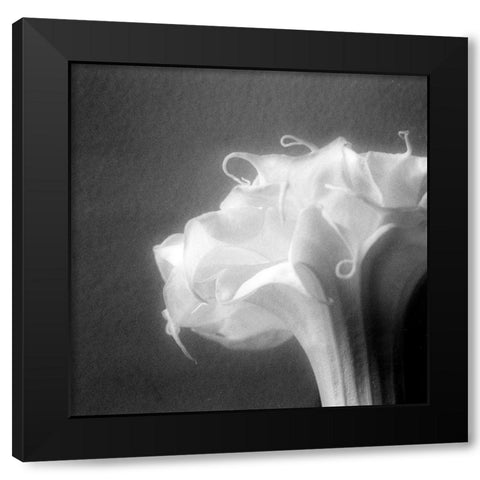 Light Black Modern Wood Framed Art Print by Stalus, Judy