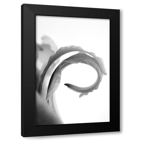 Wave Black Modern Wood Framed Art Print by Stalus, Judy