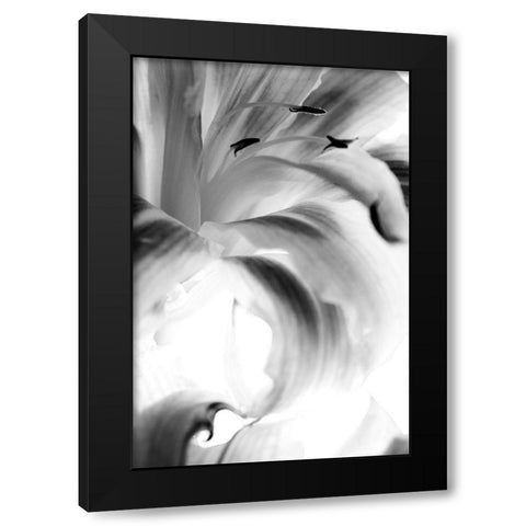 Explosion Black Modern Wood Framed Art Print by Stalus, Judy