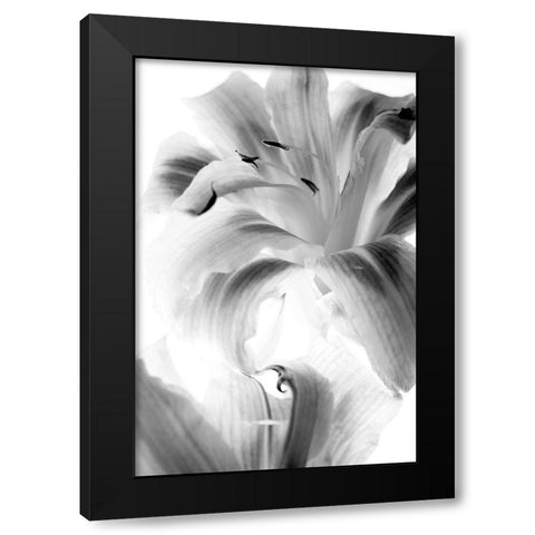 Burst Black Modern Wood Framed Art Print by Stalus, Judy