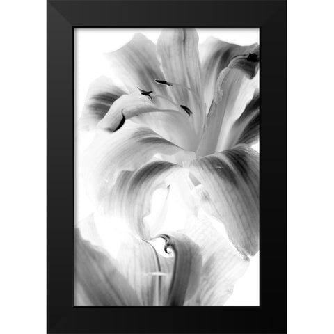 Burst Black Modern Wood Framed Art Print by Stalus, Judy