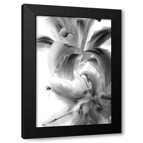 Fire Works Black Modern Wood Framed Art Print by Stalus, Judy