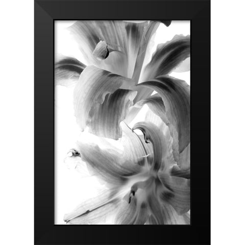 Fire Works Black Modern Wood Framed Art Print by Stalus, Judy