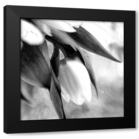 Remember Black Modern Wood Framed Art Print by Stalus, Judy