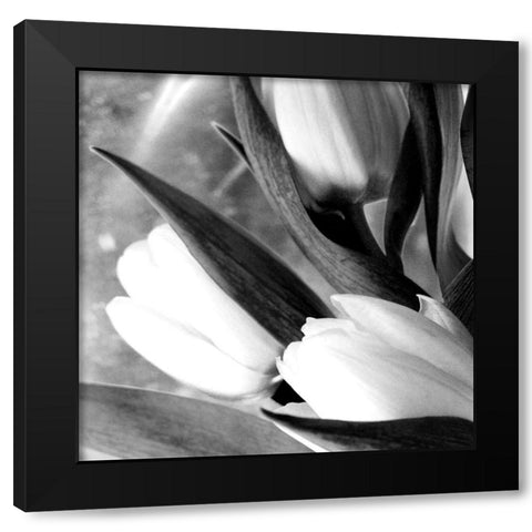 Refresh Black Modern Wood Framed Art Print with Double Matting by Stalus, Judy