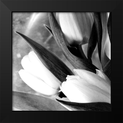 Refresh Black Modern Wood Framed Art Print by Stalus, Judy