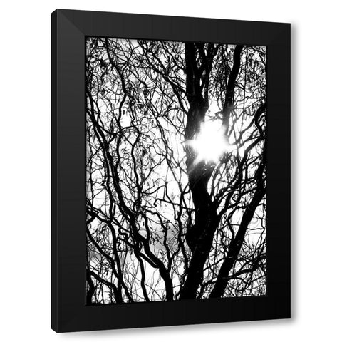 Break Through Black Modern Wood Framed Art Print with Double Matting by Stalus, Judy