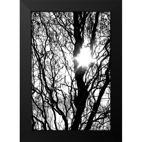 Break Through Black Modern Wood Framed Art Print by Stalus, Judy