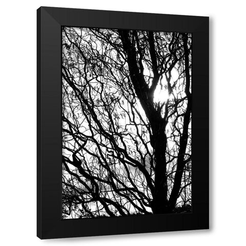 remember Black Modern Wood Framed Art Print with Double Matting by Stalus, Judy